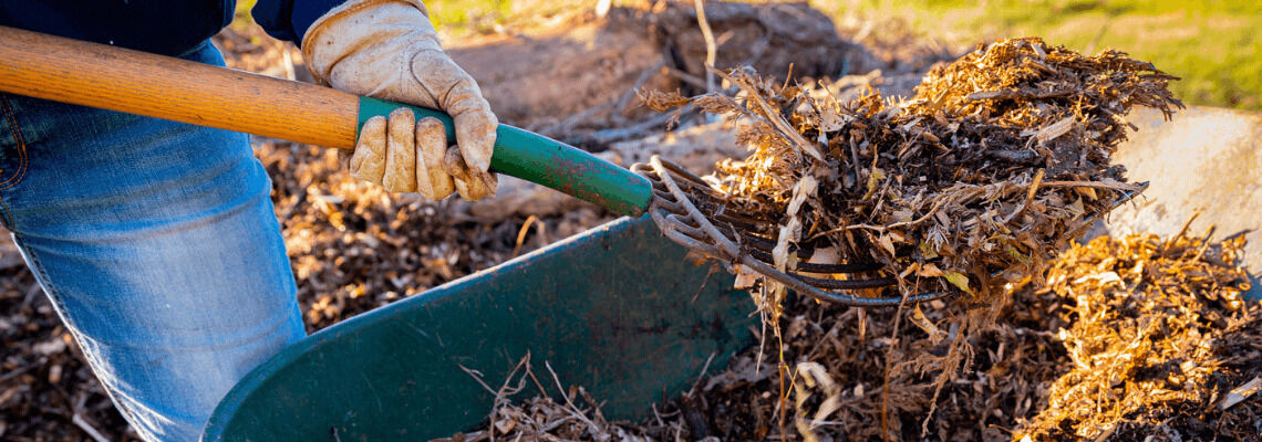 [paste advice page name here]